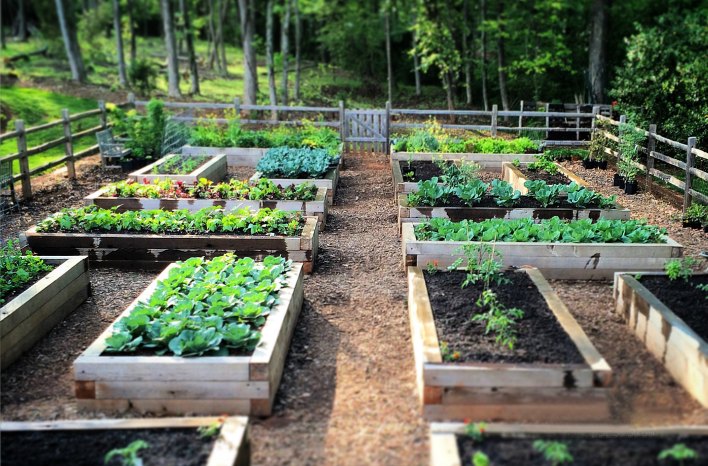 Garden Beds & Mulching