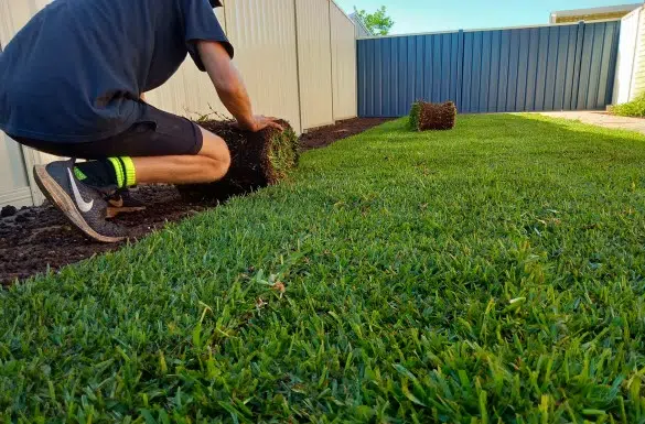 Turf Installation Sydney